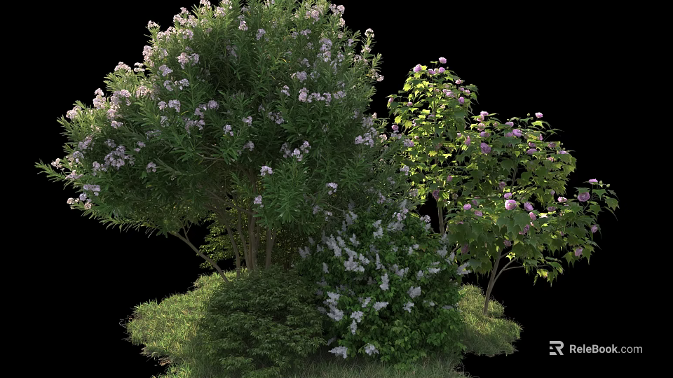 Flowering Shrubs With Lush Green Foliage And Vibrant Blooms In Garden 3d model 