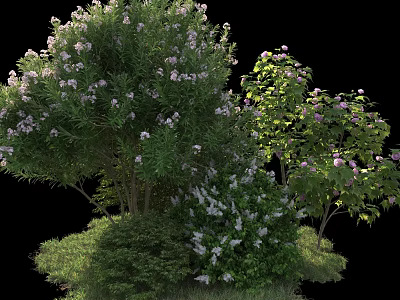 Flowering Shrubs With Lush Green Foliage And Vibrant Blooms In Garden 3d model