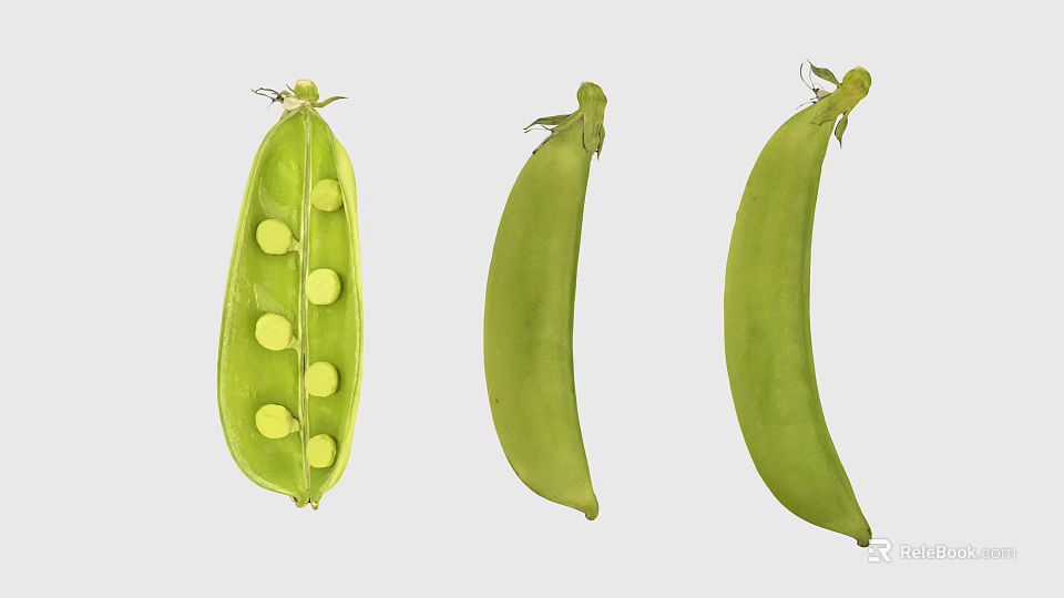 Fresh Green Pea Pods One Opened Showing Tender Peas Inside Healthy Vegetable Food 3d model 
