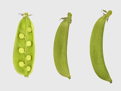 Fresh Green Pea Pods One Opened Showing Tender Peas Inside Healthy Vegetable Food 3d model