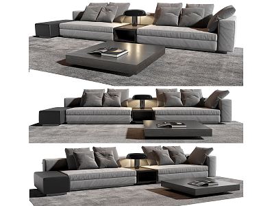 Modern Minotti double sofa model