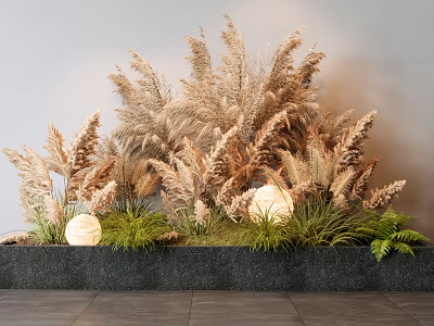 Dried Pampas Grass and Fresh Green Plants Decorative Arrangement in Modern Home Decor 3d model