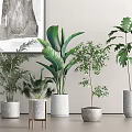 Indoor Potted Plants with Tropical Greenery Small Trees and Modern Gray Pots on Wooden Stand