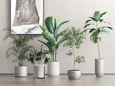 Indoor Potted Plants with Tropical Greenery Small Trees and Modern Gray Pots on Wooden Stand 3d model