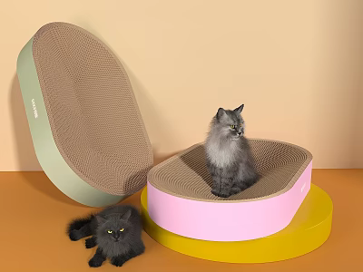 Gray Cat On Pink Scratcher With Green Open Scratcher And Black Cat Lying 3d model