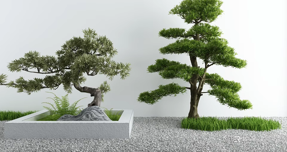 Tranquil Courtyard Garden With Pine Trees Stone Planter Gravel Ground And Grass 3d model 