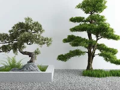 Tranquil Courtyard Garden With Pine Trees Stone Planter Gravel Ground And Grass 3d model