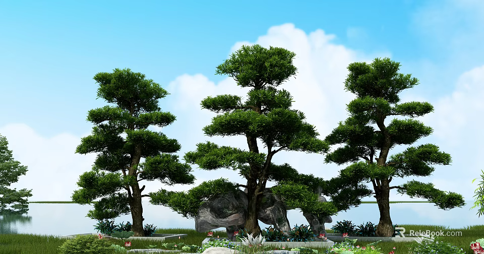 Tall Trees With Lush Green Foliage Under Blue Sky White Clouds Stones And Grassy Area 3d model 