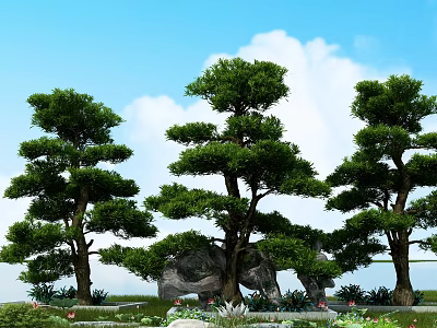 Tall Trees With Lush Green Foliage Under Blue Sky White Clouds Stones And Grassy Area 3d model