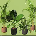 Various Indoor Potted Plants with Brown Black Gray Ceramic Pots and Wooden Stand