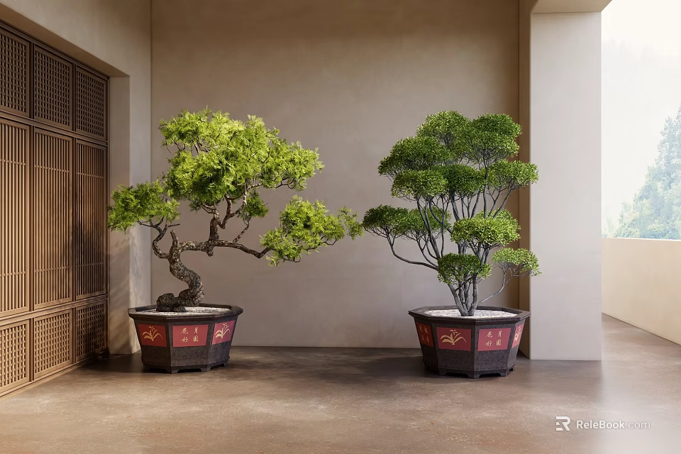 Indoor Bonsai Plants With Green Foliage In Decorative Pots By Traditional Wooden Screen 3d model 