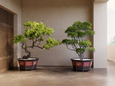 Indoor Bonsai Plants With Green Foliage In Decorative Pots By Traditional Wooden Screen 3d model