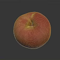 Fresh Juicy Red Apple On Gray Background With Shiny Surface And Reflection