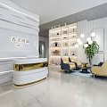 Bridal Shop Interior with Wedding Dress Displays Sofa Green Plants and Wall