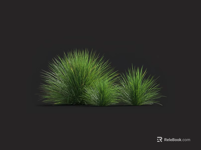 Lush Green Grass Clumps Growing with Vibrant Texture Against Black Background 3d model 
