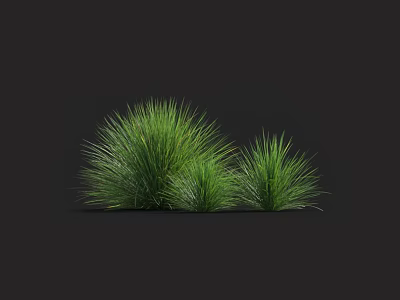 Lush Green Grass Clumps Growing with Vibrant Texture Against Black Background 3d model