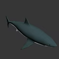 Game and Movie Character Shark 3D Model with Gray Blue Body Open Mouth and Fins