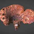 Organic Ganoderma Mushroom With Brown Red Texture And Fan Shaped Holes