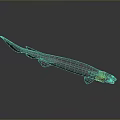 Realistic Purple Shark Model Isolated On Gray Background With Detailed Features