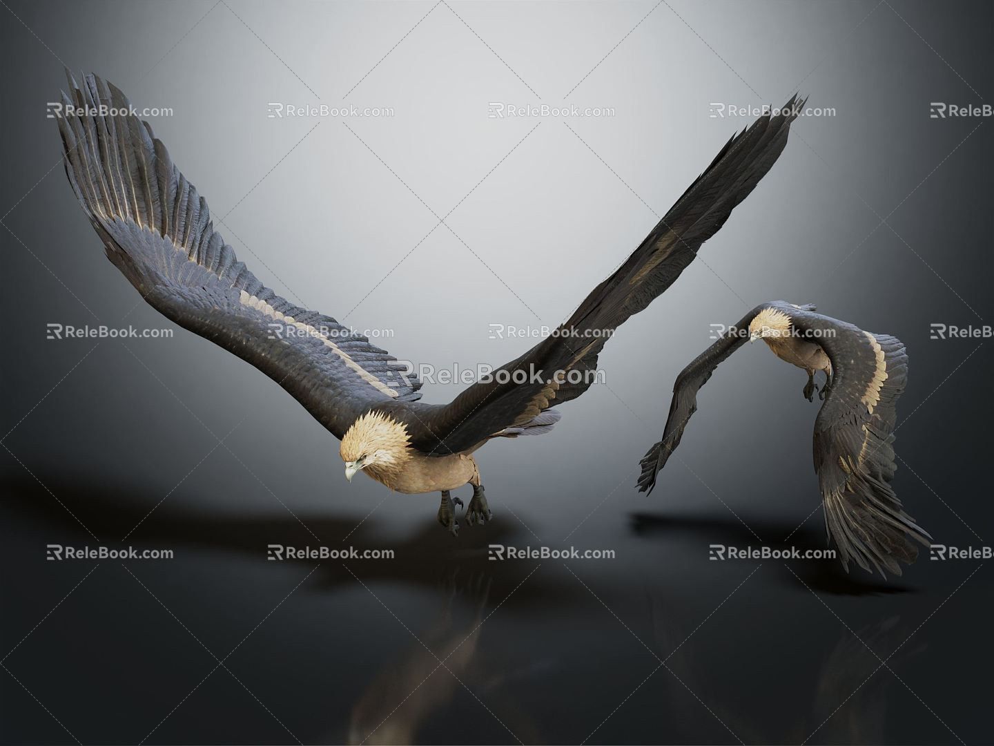 Modern Eagle 3d model