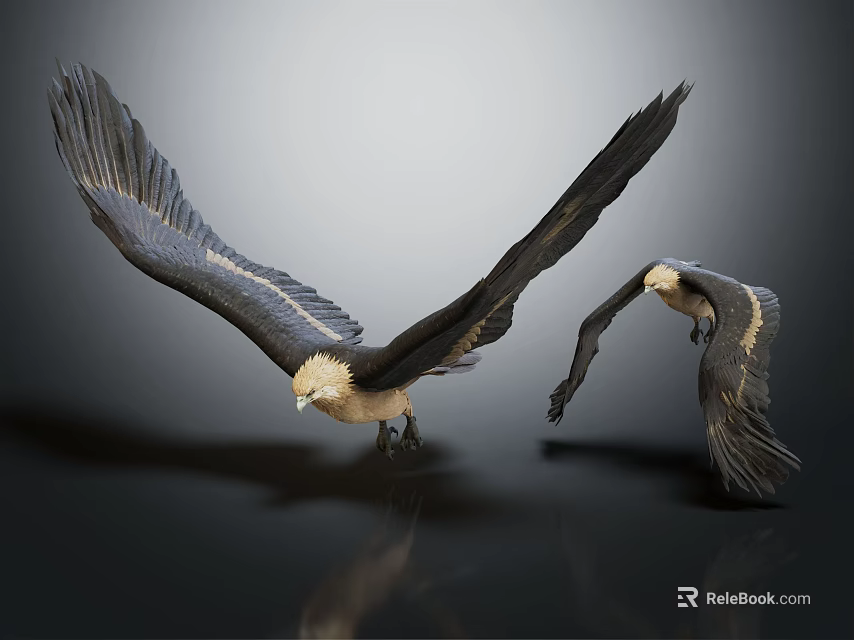 Majestic Birds of Prey Spreading Wings Against Dark Gray Background With Reflections 3d model 