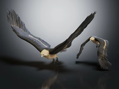 Majestic Birds of Prey Spreading Wings Against Dark Gray Background With Reflections 3d model
