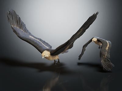 Modern Eagle 3d model