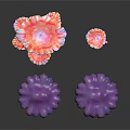 Colorful Pink and Purple Umbrella Shaped Plants with Feather Like Petals Against Black Background