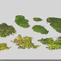 Various Natural Moss Pieces For Decorative Use With Different Shapes And Textures