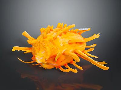 Orange Spongy Coral Like Object with Long Thin Projections on Dark Background and Reflection 3d model