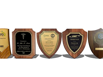 Modern Medals 3d model