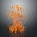 Golden Wheat Ears as Food Ingredient With Dark Background and Reflective Surface