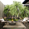 Home Courtyard Landscape Tree Palm Plant Needle Sunflower Outdoor Chair 3d model