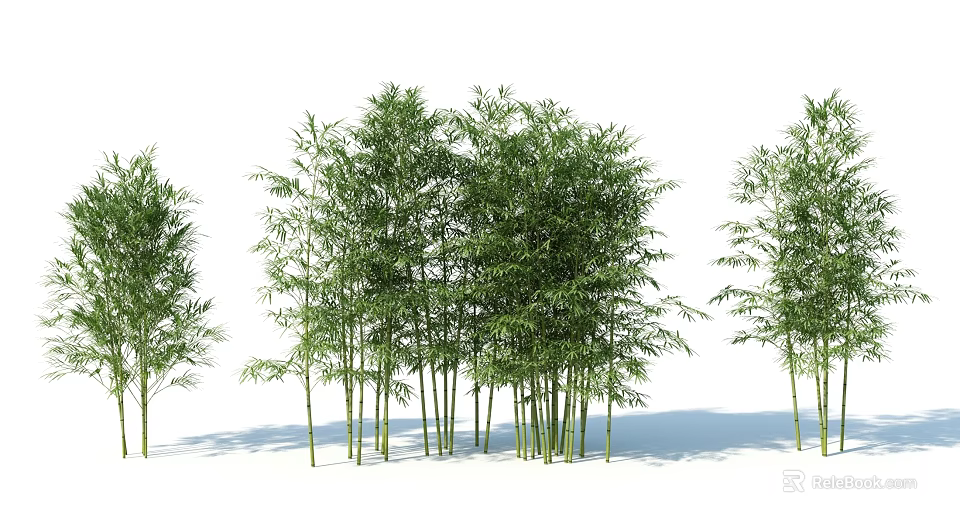 Tall Green Bamboo Plants With Lush Leaves In Natural Cluster Arrangement 3d model 