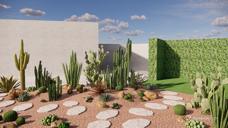 Tropical Indoor Landscape With Cacti Succulents Stone Path White Walls And Green Plant Wall 3d model 