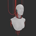 White Female Mannequin with Red Lines Hanging Around Neck and Body on Black Background