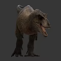 Detailed Tyrannosaurus Rex 3D Model With Open Mouth Sharp Teeth And Textured Skin