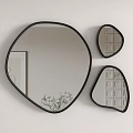 Modern Irregular Shaped Wall Mirrors With Black Frames And Plant Reflections 3d model