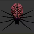 Vibrant Spider Featuring Pink Green Brain Like Body Pattern and Black Colorful Sheen Legs