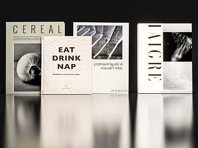 Decorative Ornament Set with Modern Books Minimalist Design for Tabletop Shelf Decor 3d model