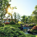 Rockery Stones In Scenic Garden With Small Stream Lush Green Plants And Evening Lights