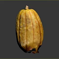 Fresh Yellow Pumpkin with Orange Spots and Long Shape on Black Background with Bottom Reflection