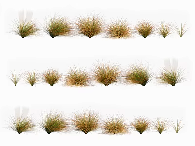 Various Natural Ornamental Grasses In Different Heights And Green Brown Tones 3d model