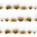 Various Natural Ornamental Grasses In Different Heights And Green Brown Tones