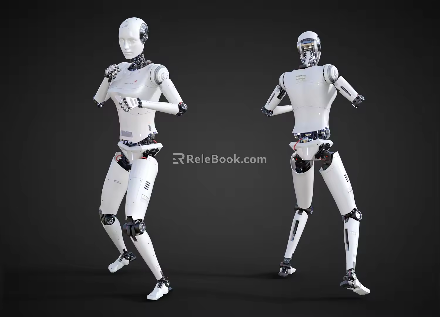Intelligent Robot Science and Technology Sense Robot Kung Fu Posture Fighting Robot 3d model