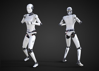 Intelligent Robot Science and Technology Sense Robot Kung Fu Posture Fighting Robot 3d model