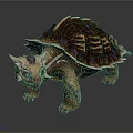 Reptile Tortoise With Unique Shell Yellow Stripes Horned Head And Sturdy Limbs
