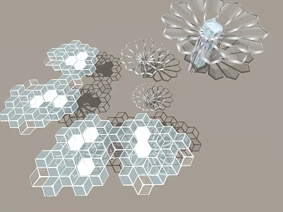 Transparent Sculptures Featuring Hexagonal And Petal Shaped Structures With Light Shadow Effects 3d model