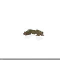 Modern Terrain Model With Rocky Formations And Lush Green Vegetation Details
