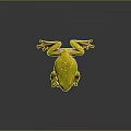 Vibrant Yellow Frog With White Spots And Pink Legs On Dark Background With Reflection